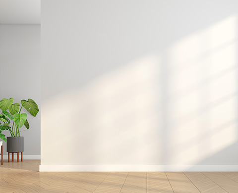 minimalist interior design featuring a blank wall with sunlight casting shadows and a potted plant beside a wooden chair creating a tranquil atmosphere in a modern space